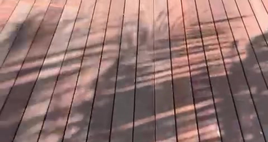 VID-20230208-WA0017